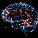 vitamine-pentru-memorie