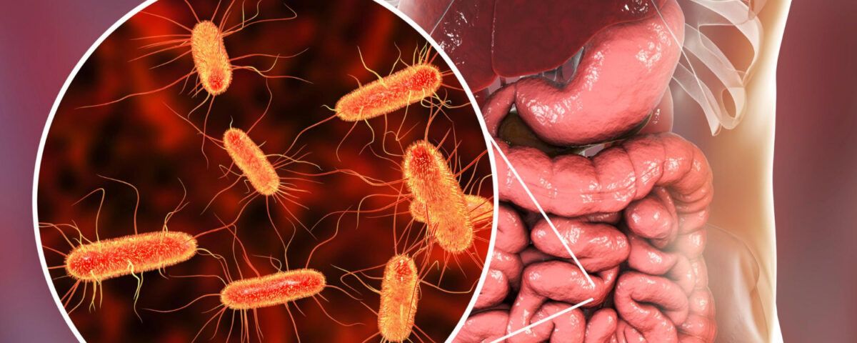 tratament-pentru-limbrici-la-adulti