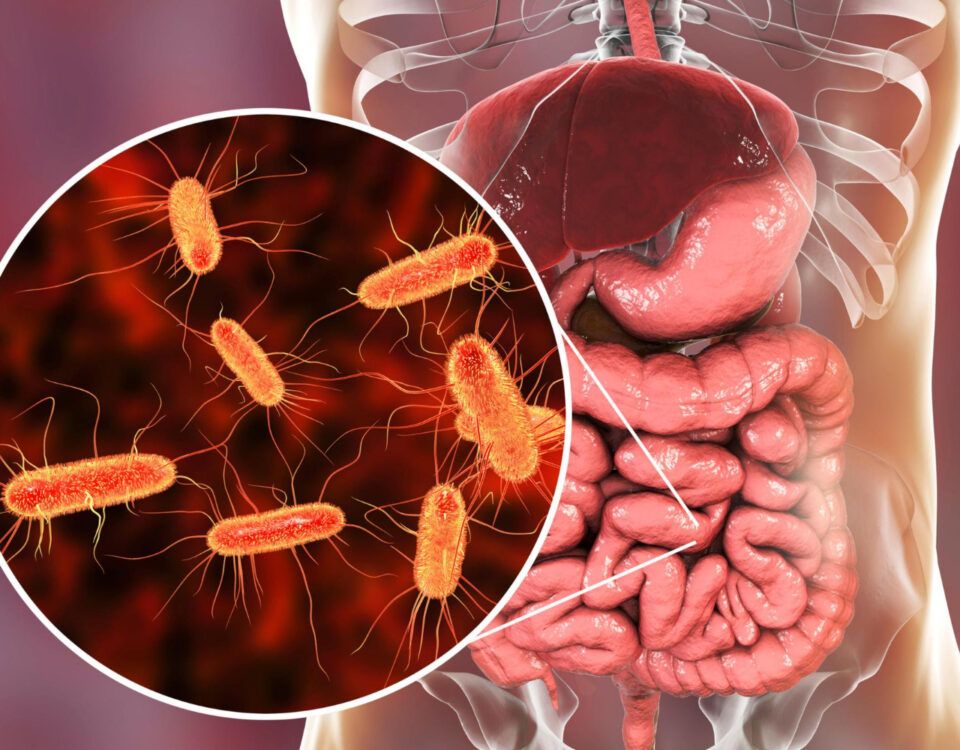 tratament-pentru-limbrici-la-adulti